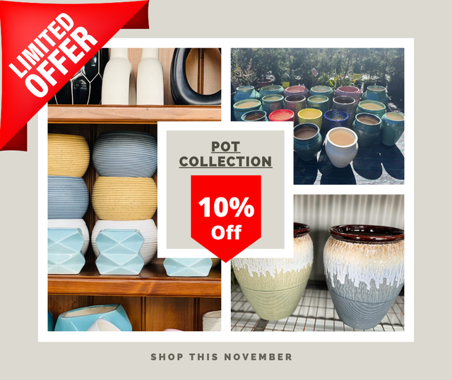 Pots Canberra Nursery & Garden Centre