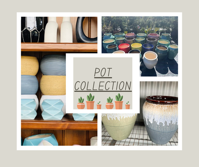 Pots Canberra Nursery & Garden Centre