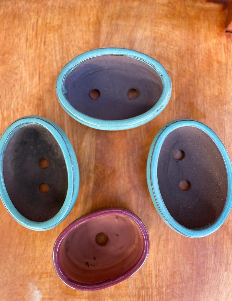 Oval Bonsai Pot Canberra Nursery & Garden Centre