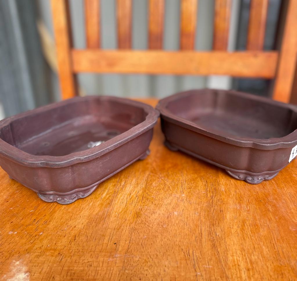 Rectangle Brown Bonsai Pot Canberra Nursery & Garden Centre