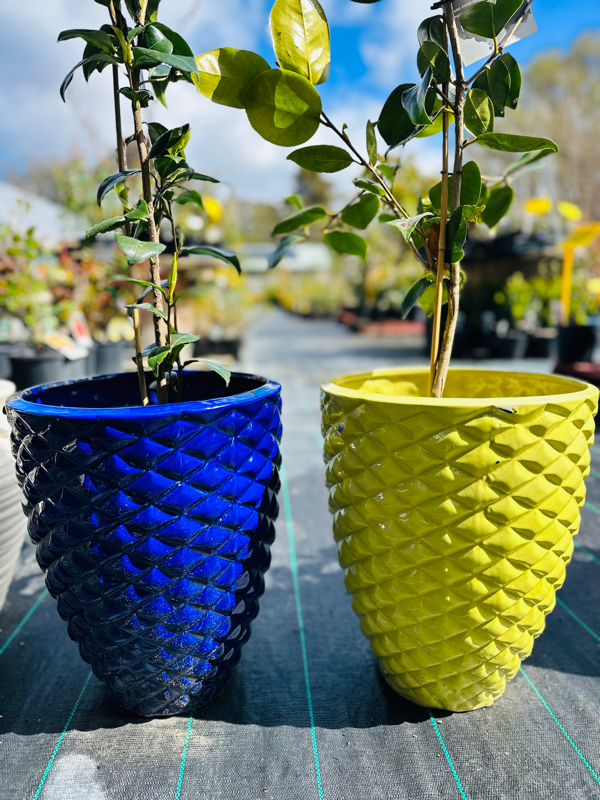 Pots Canberra Nursery & Garden Centre