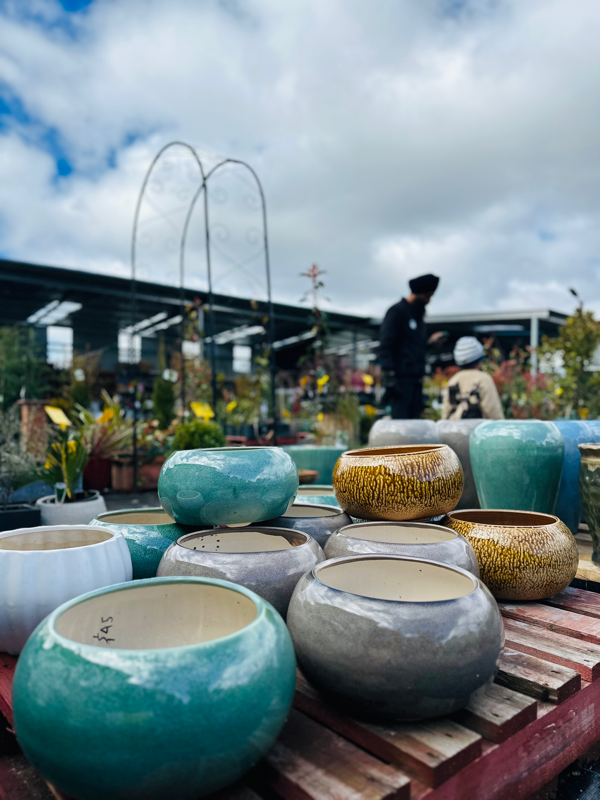 Large bowl pot Canberra Nursery & Garden Centre