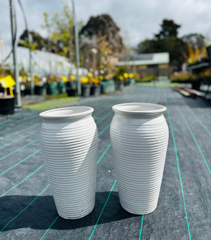 Jar pot Canberra Nursery & Garden Centre