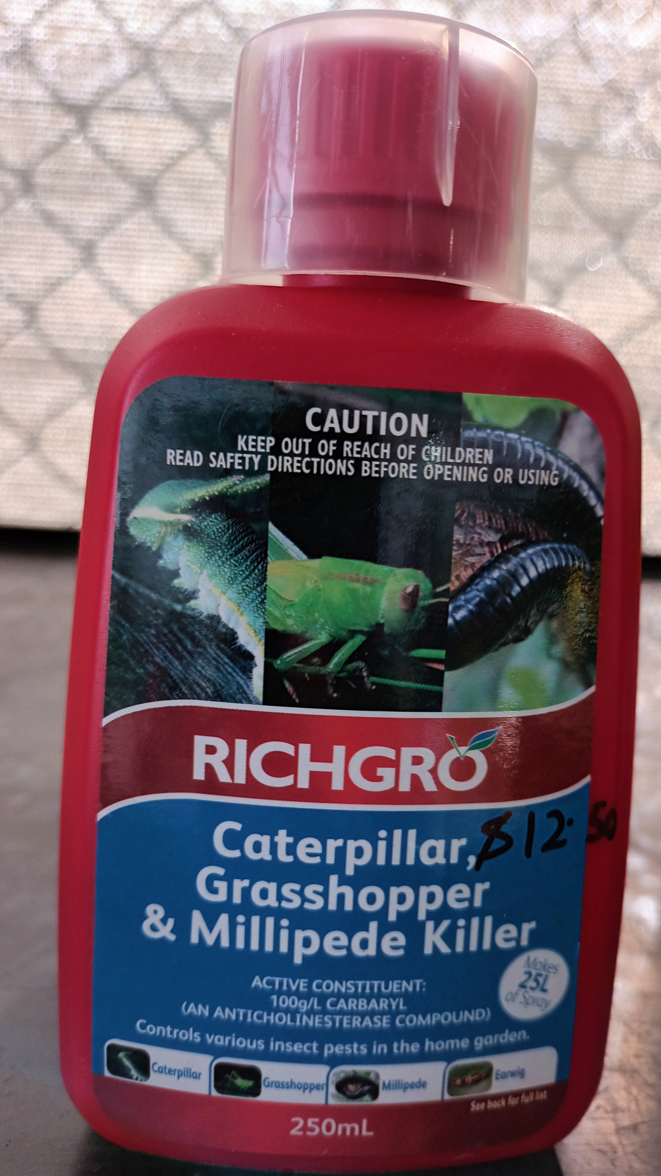 The Killer Millipede Lurking In Your Backyard - v3dwic6